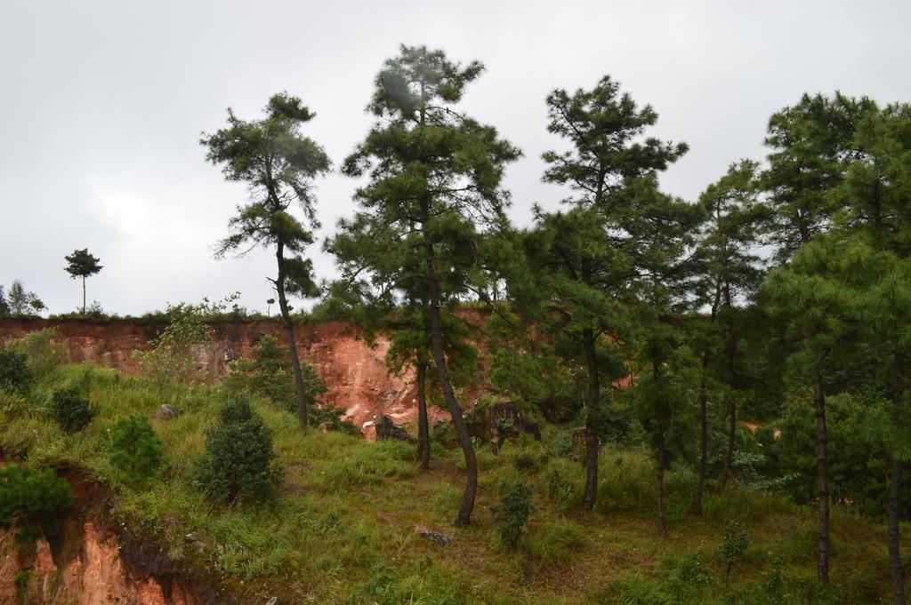 Orange Homestay Šillong Exteriér fotografie
